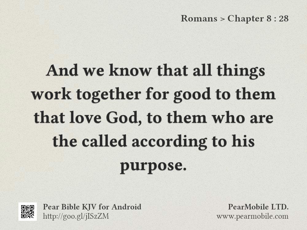 Romans, Chapter 8:28